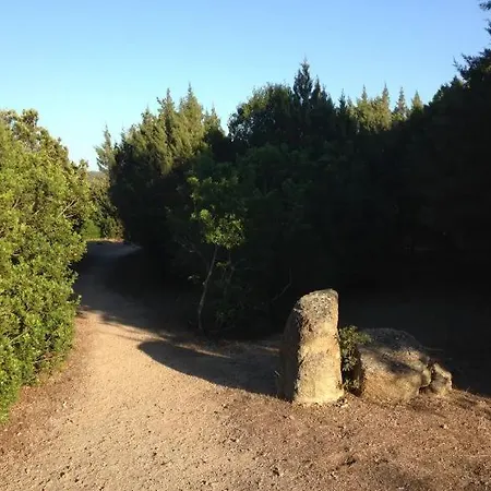 Pieds Dans L'eau Sur La