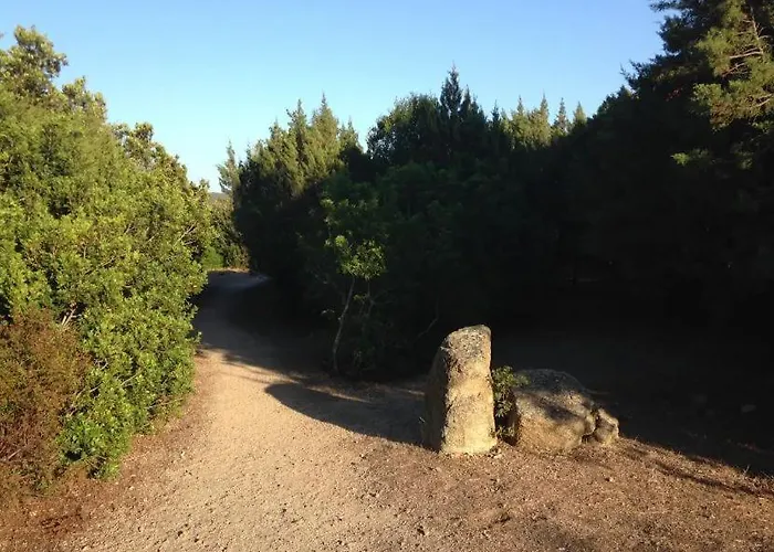 Pieds Dans L'eau Sur La
